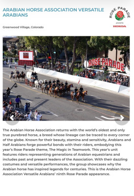 colorado versatile arabians