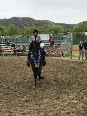 2020 championship show 3894x100000