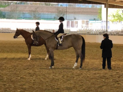 hunter pleasure jotrx100000