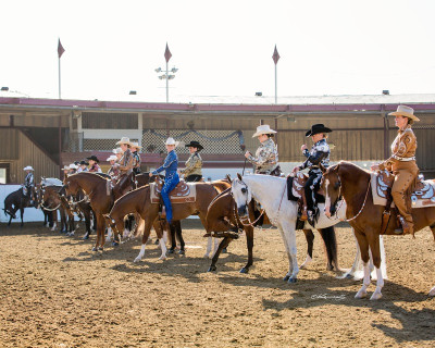 r215 western lineup