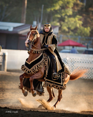 r215 native costume