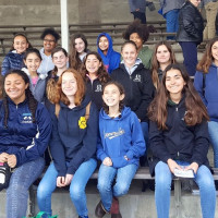 horse judging