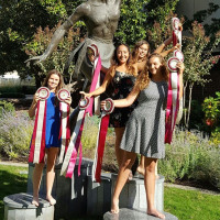 judging ribbons